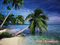   dArt Tropical Islands vol.1
